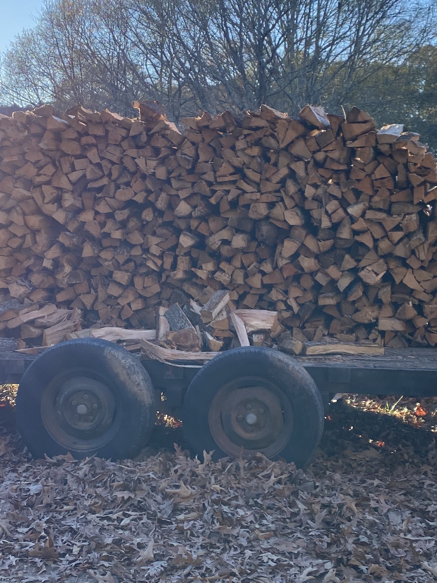 Firewood 