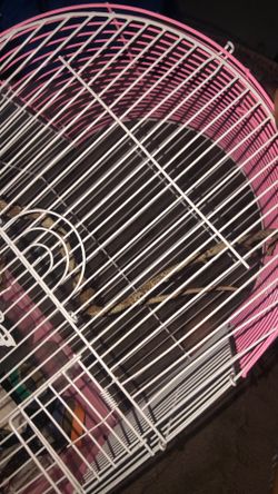 Bird cage