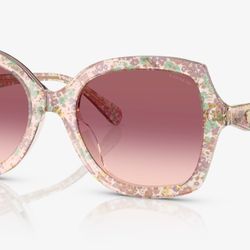 Coach Sunglasses 