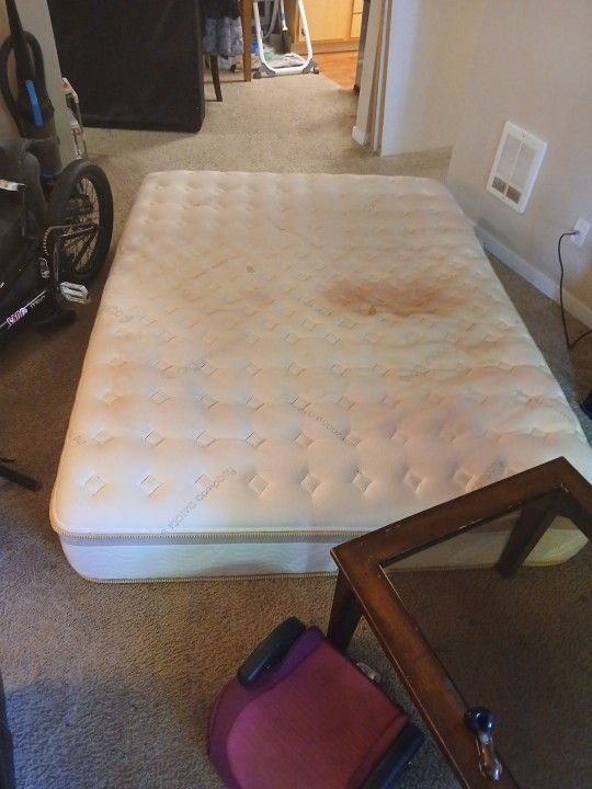 Saatva Matress And Box Spring