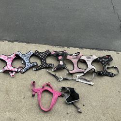 Frenchie Bulldog Duo Reversible Harnesses For Sale 