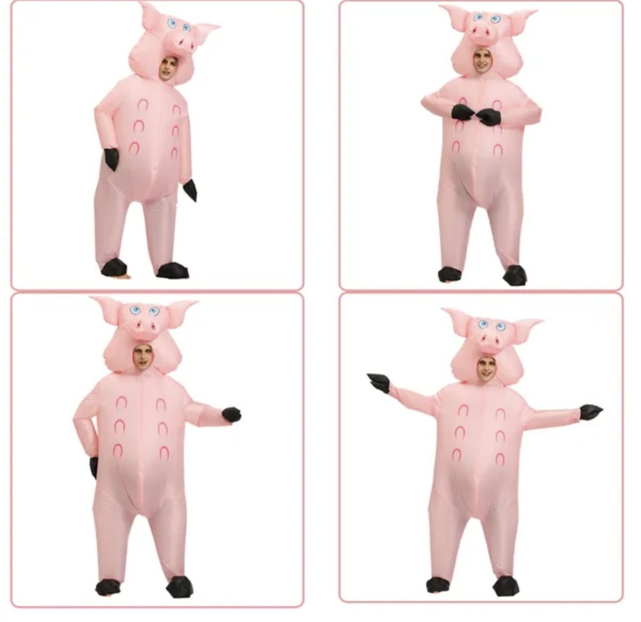 Adult Inflatable Pig Costume . Not Free Message For Price