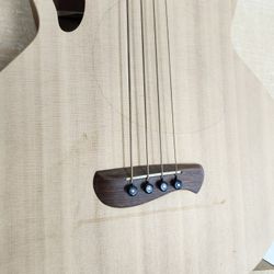 Electro-Acoustic Bass