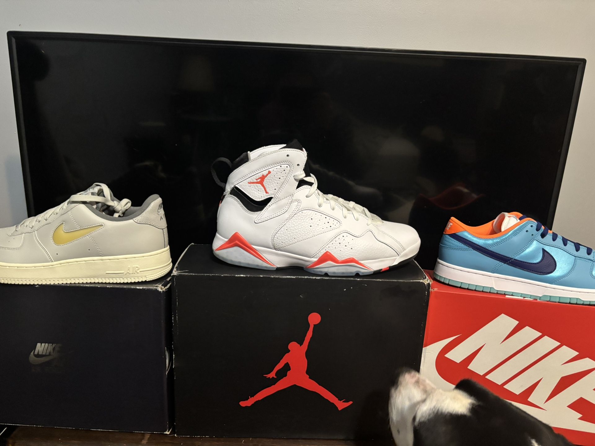 All Size 12 Brand New