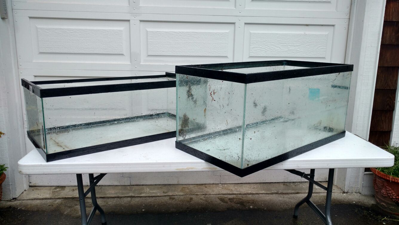 30 Gallon Breeder Aquarium