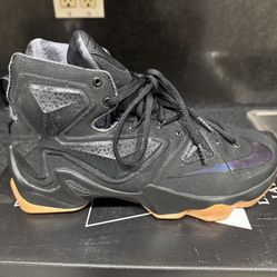 LeBron 13