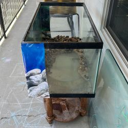 40 Gallon Fish Tank