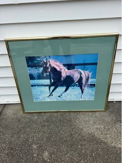 Rare Photo Famous Racehorse Secretariat 25x37