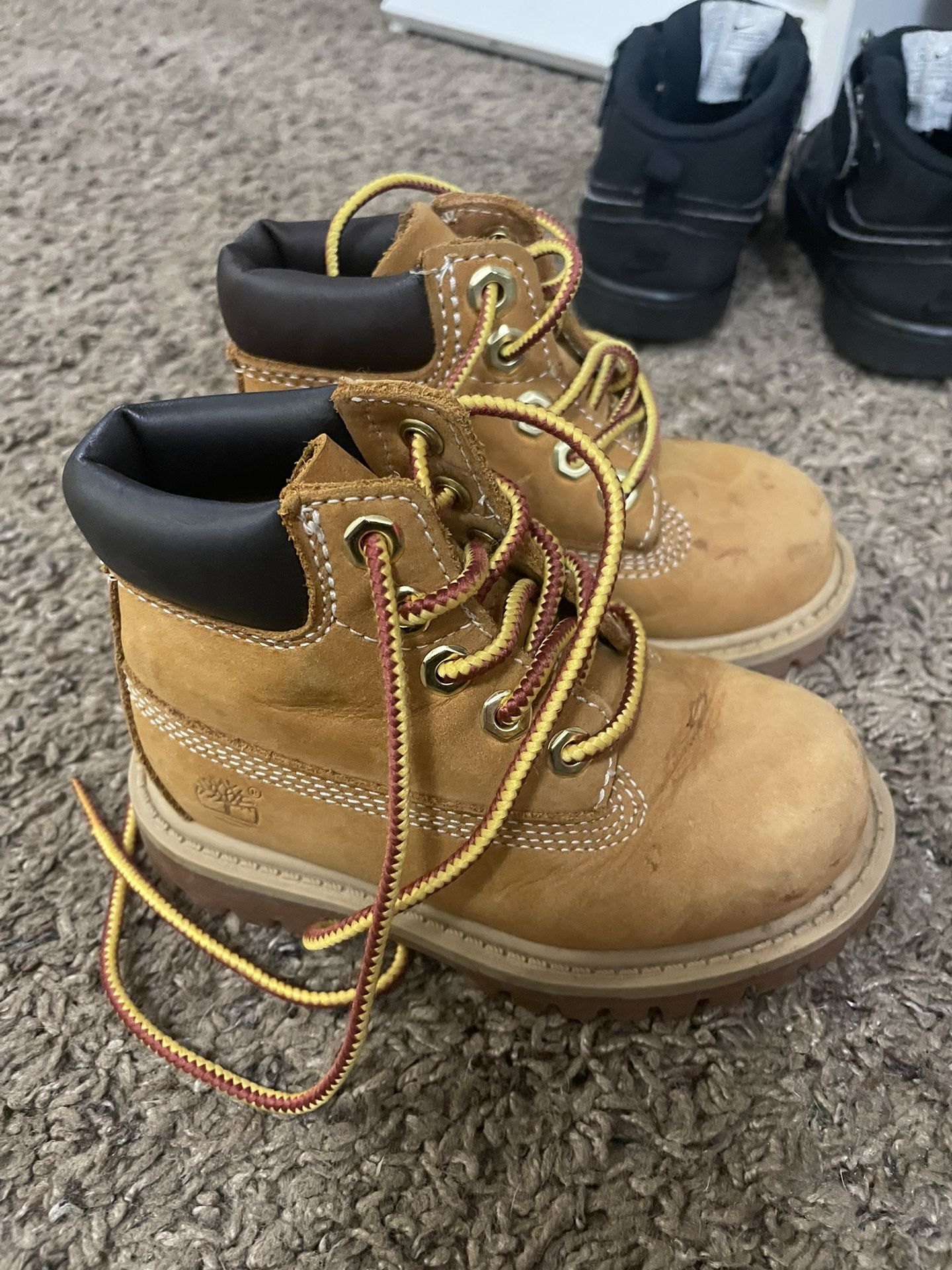 timberland toddler boys size 6