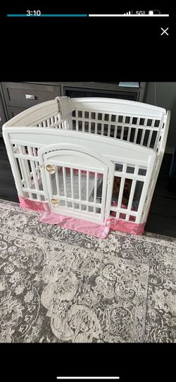 Dog House