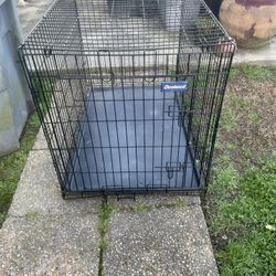 Dog Crate