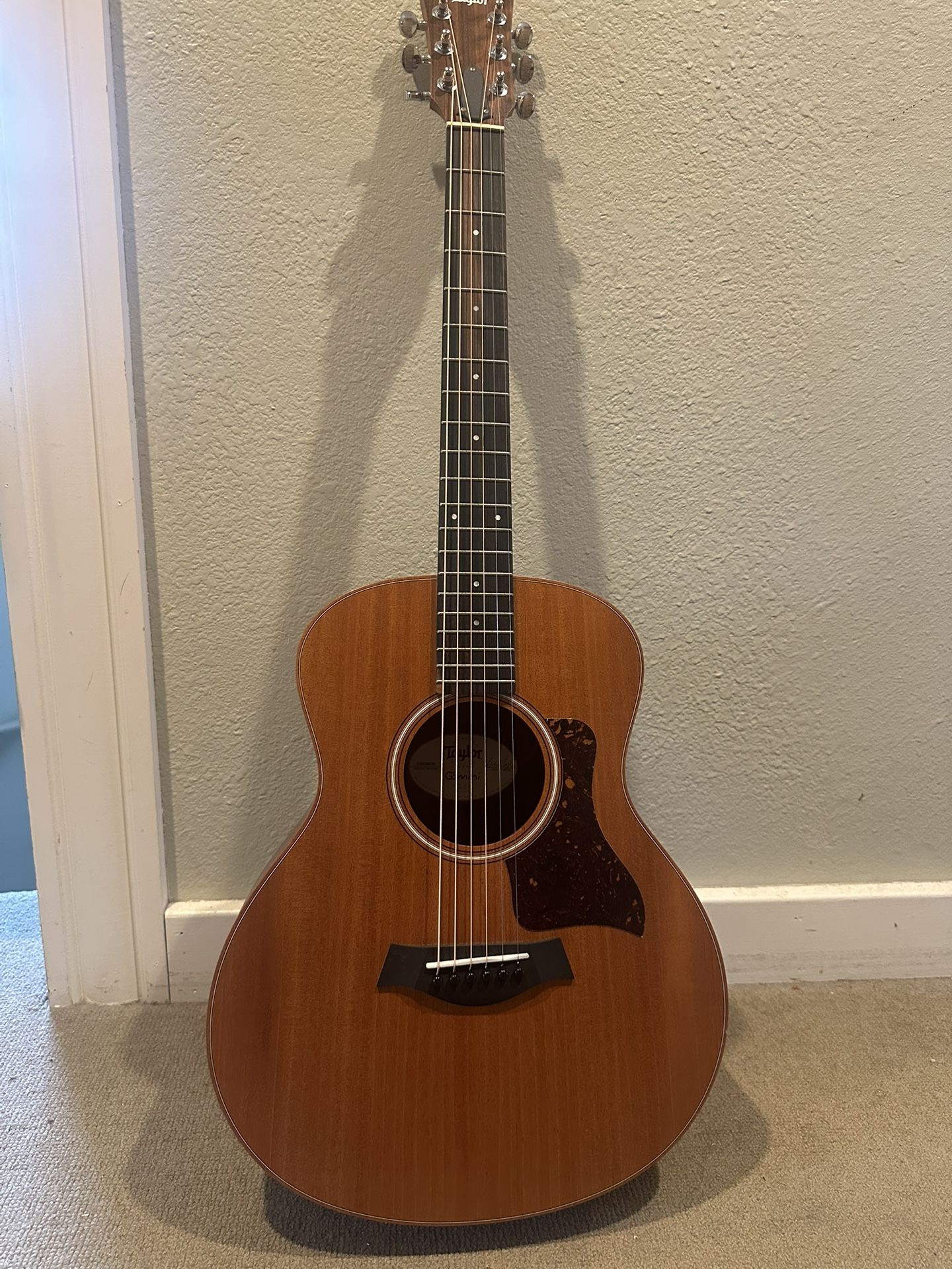 Taylor GS mini Brand New