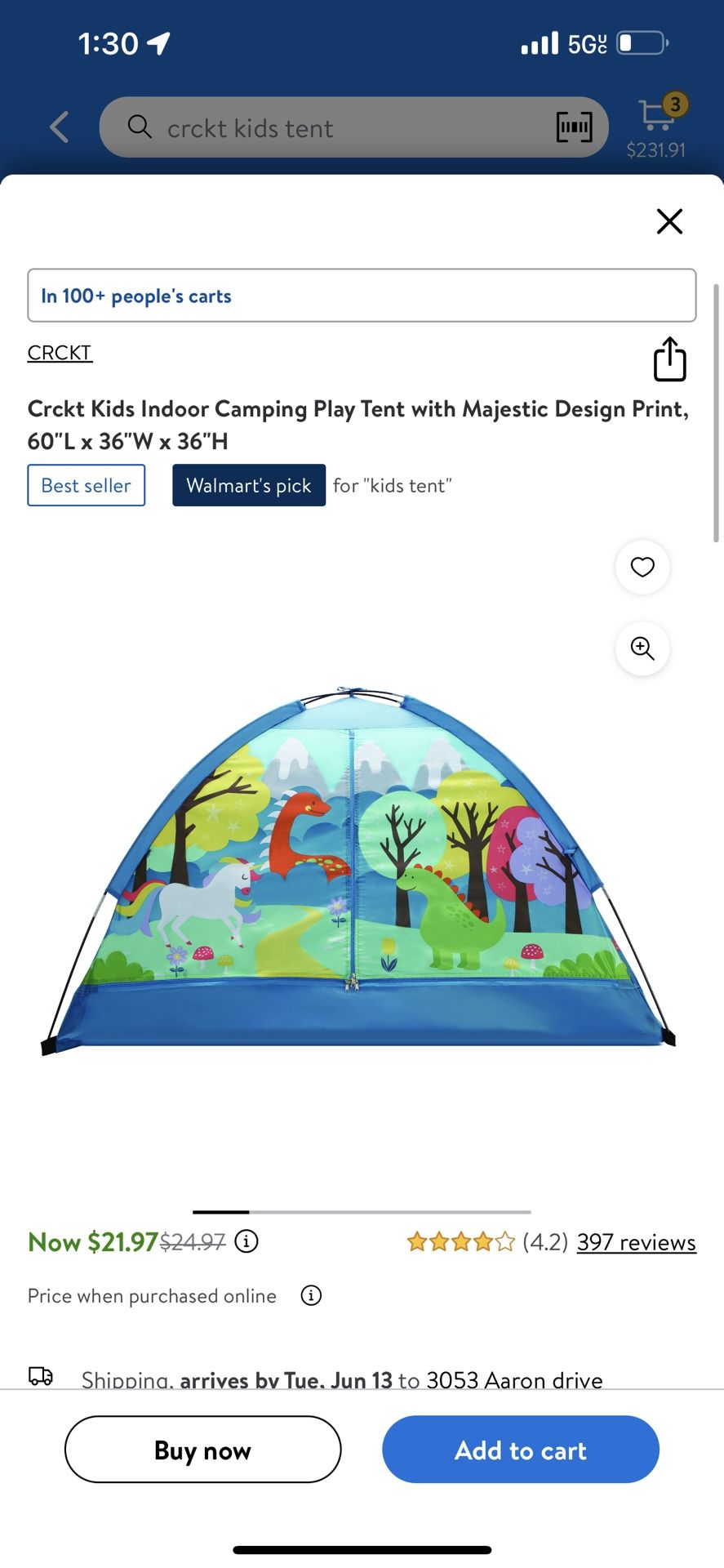Kids Tent
