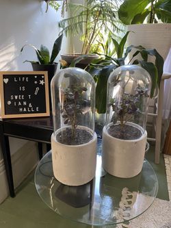 Modern Fake Plants / Plant / Plant Stand / Fake Plants 