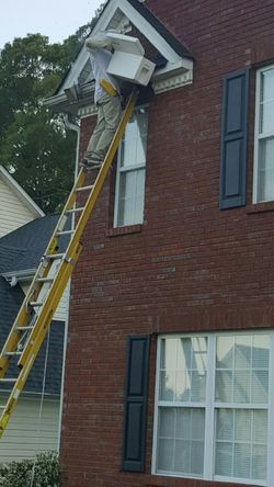 Honeybee Removal, swarm, bees honey bee