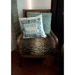 19th Century French Directoire Armchair Tiger 