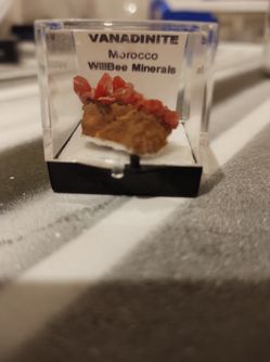 Rock With Display Case