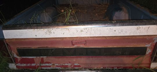 S10 tailgate