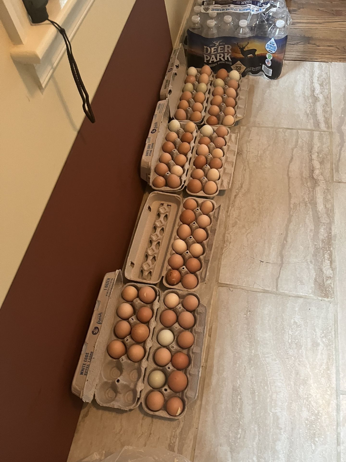 Fresh Organic Eggs