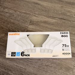 Par30 Light Bulbs 6 pack