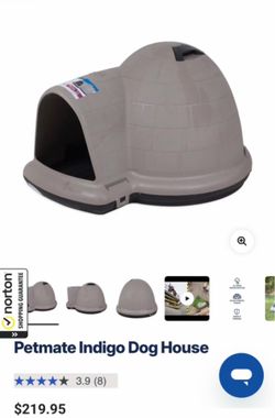 Igloo dog house