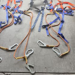 Nuevos Harnesses