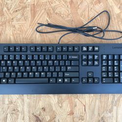 Lenovo Wired Computer Keyboard usb plug