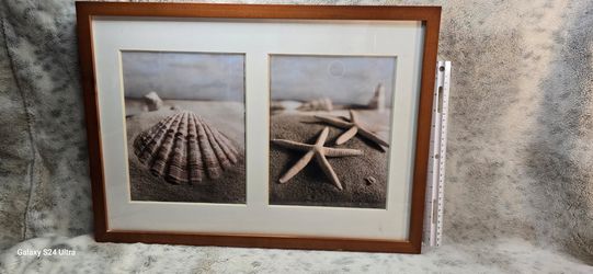Vintage Starfish And Seashell Framed Wall Art