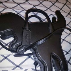 Coach Rexy Bag 