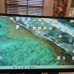 Computer Monitor  19.5 Inches Thin And Light
