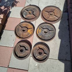 Delivery Available - BFCO Olympic Weights. 210 Pounds Total In Good Shape Just Need Some Spray Paint 