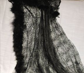 Black Lace Shawl with Feather Trim