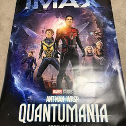 Ant-Man & the Wasp QUANTUMANIA IMAX 70x48 Poster HUGE Marvel Movie