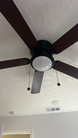 Ceiling fan