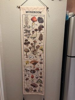 Mushroom Varieties Illustrated Wall Hanging Banner