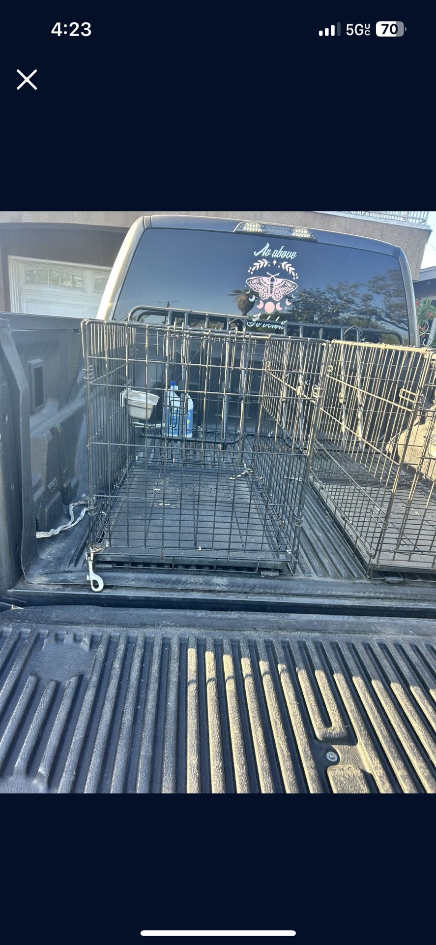 Birds Cage