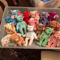 Beanie Baby Bears  