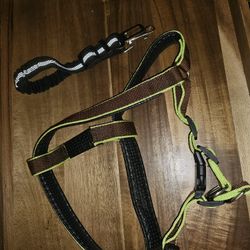 Small-Medium Dog Harness and seat belt 