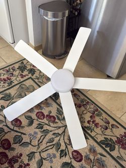 ceiling fan 
