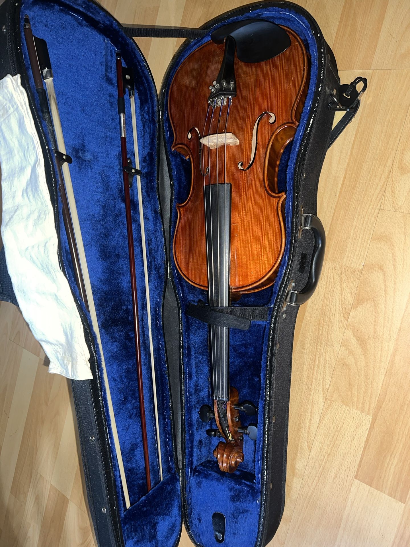 VIOLA