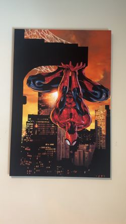 Spider Man Canvas Decor 