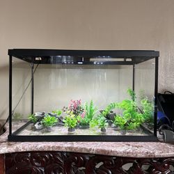 10 Gallon Aquarium Tank 