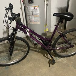 Granite Peak Road Master Mountain Bike 24”