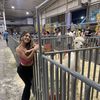 meli 