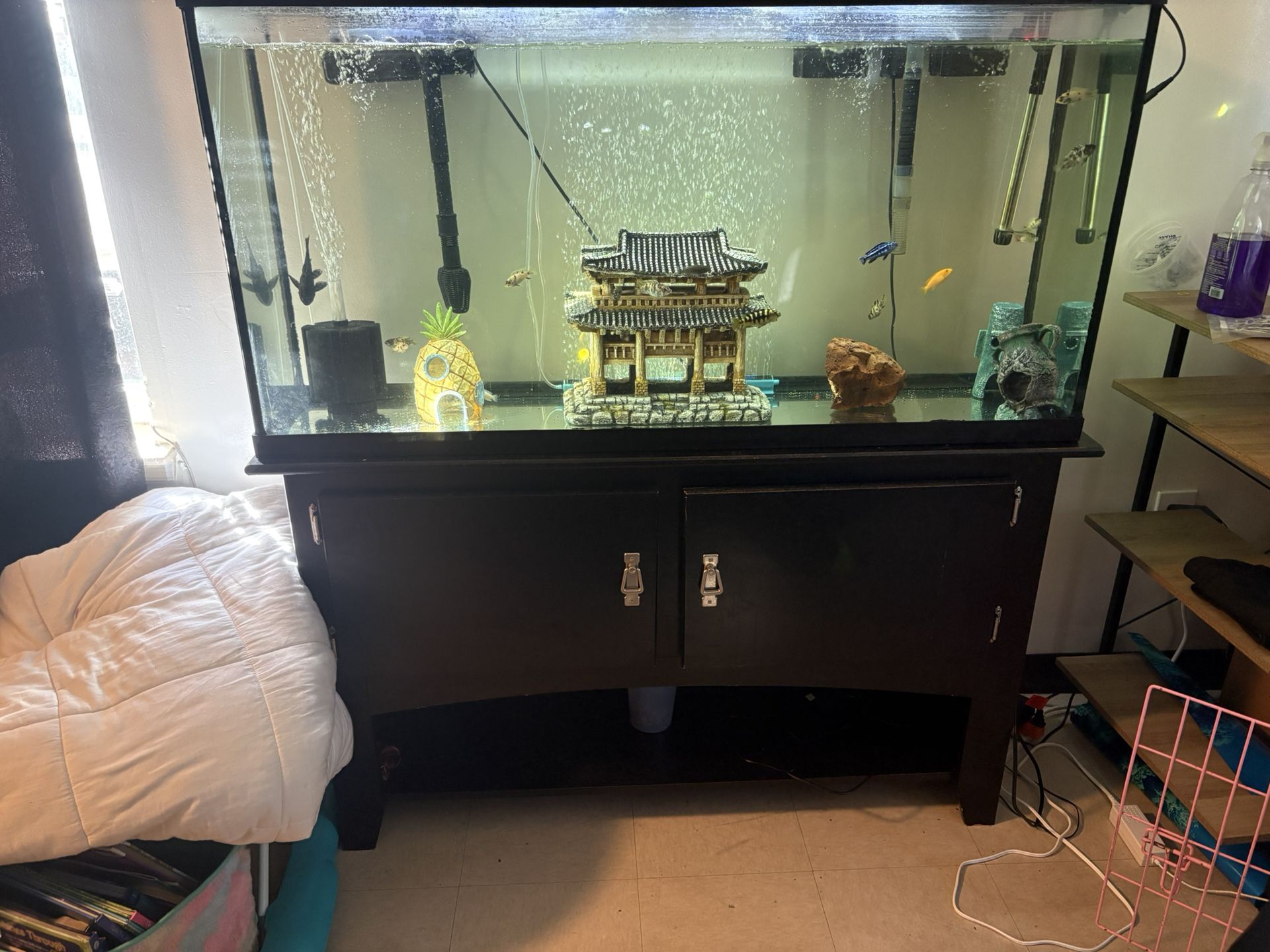 60 Gallon Fish Tank Comes With 1 Filter And Heater And Stand