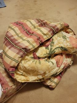Queen Sized Comforter, sheets, shams, dust ruffle