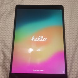 Ipad 10.5 Pro 256 Gig