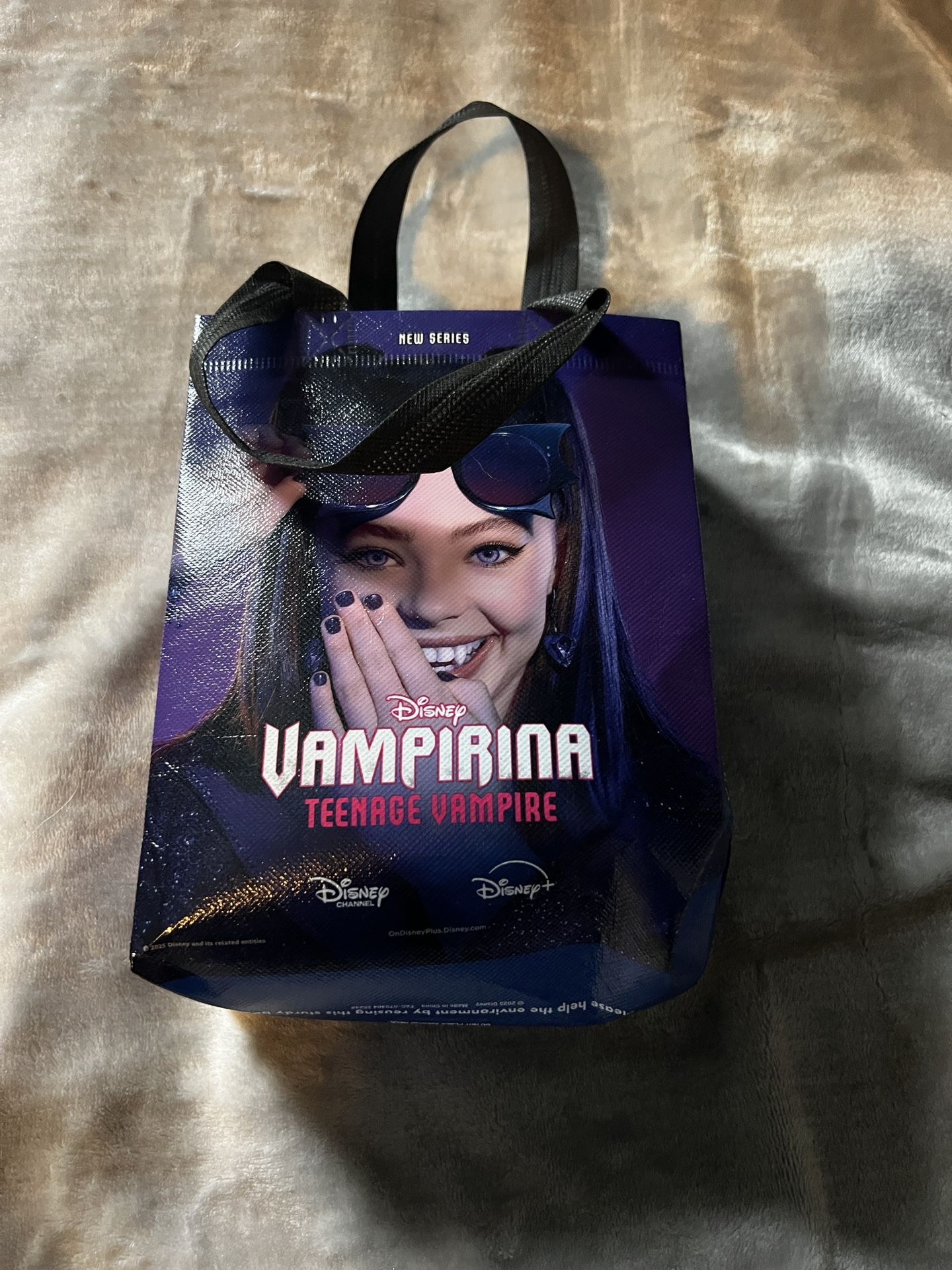 Reusable Disney Bag
