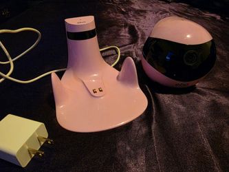 EBO Air 2 Movable Pet Camera Robot 🤖