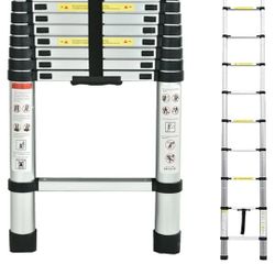 Extendable Ladder
